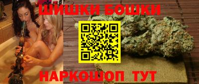 индика Рязань