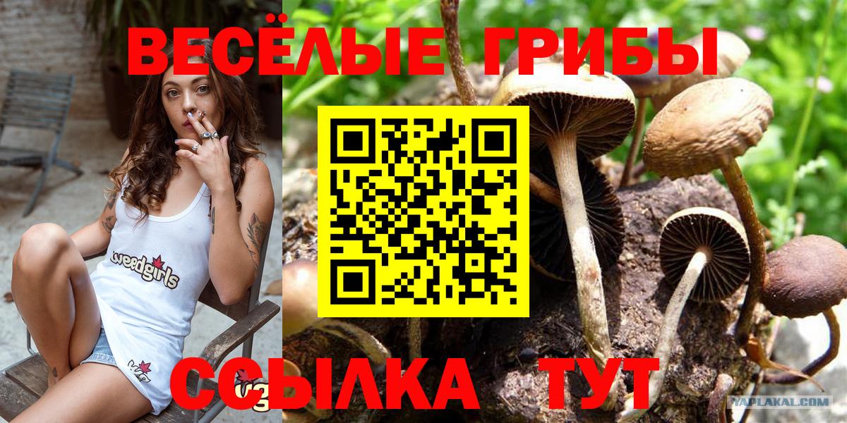Галлюциногенные грибы ЛСД Баксан