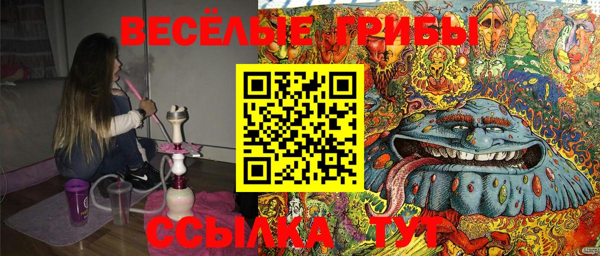 Баксан  закладки  Вход с VPN  Псилоцибиновые грибы мицелий 